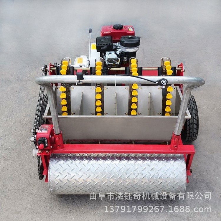 潾钰奇大蒜播种机 汽油动力6行种蒜机 五行农用大蒜种植机图4