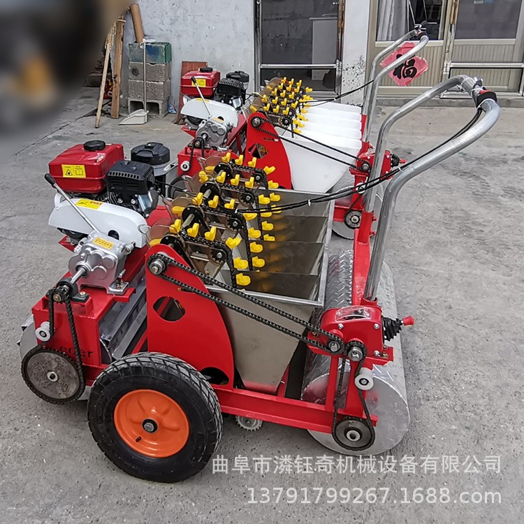 潾钰奇大蒜播种机 汽油动力6行种蒜机 五行农用大蒜种植机图2