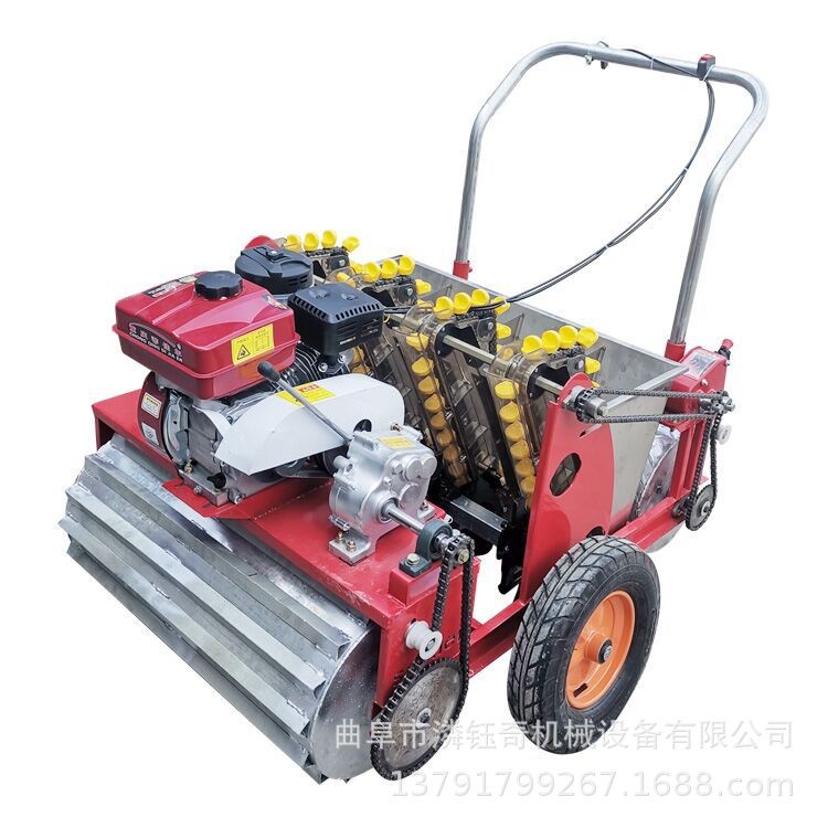 潾钰奇大蒜播种机 汽油动力6行种蒜机 五行农用大蒜种植机