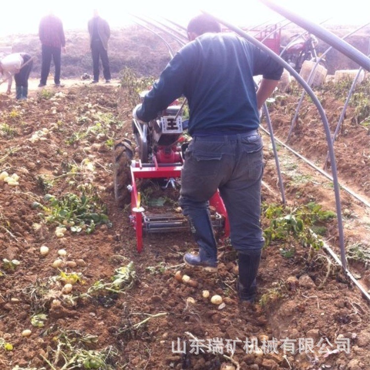手扶拖拉机土豆收获机马铃薯类收割机挖土豆机器农用太子参红薯图5