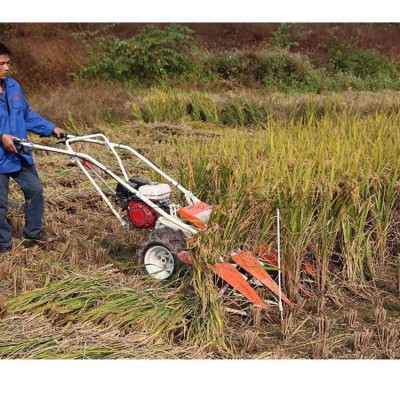 手推式玉米花生割晒机 汽油移动式水稻谷子收割机 农用秸秆放倒机