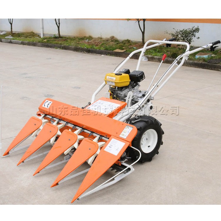手推式玉米花生割晒机 汽油移动式水稻谷子收割机 农用秸秆放倒机图2