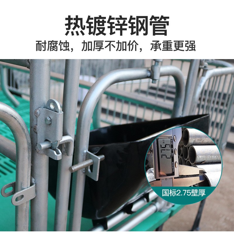 母猪产床单双体热镀锌母猪产床猪用复合板产床栏猪分娩床养猪设备图2