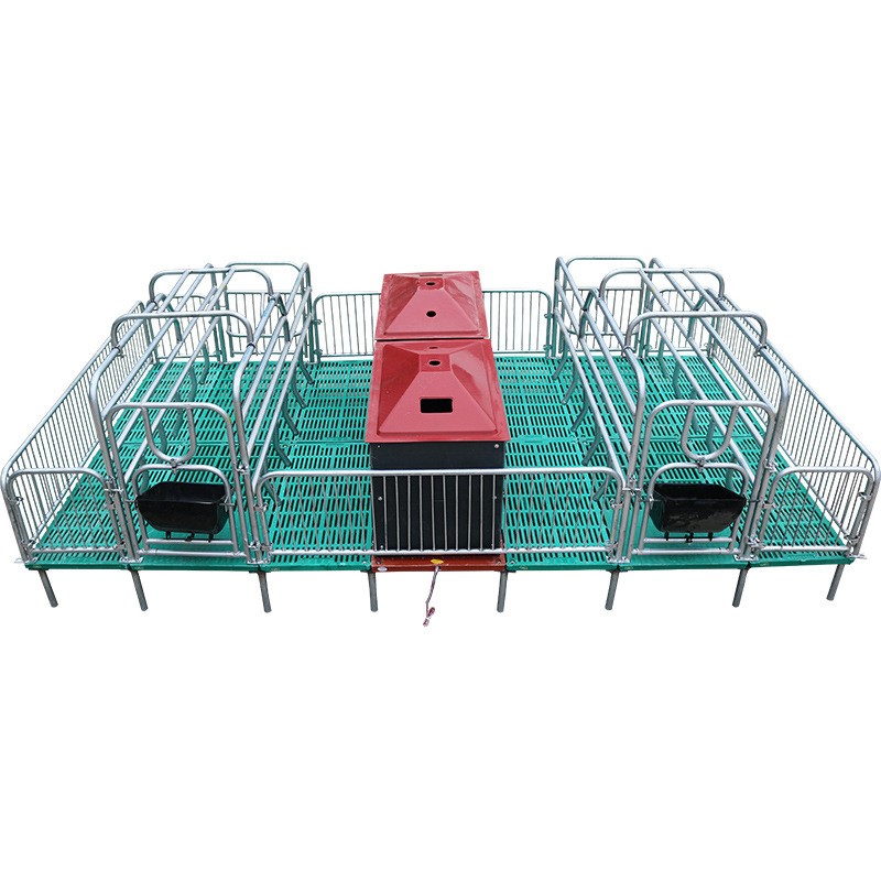 母猪产床单双体热镀锌母猪产床猪用复合板产床栏猪分娩床养猪设备图5