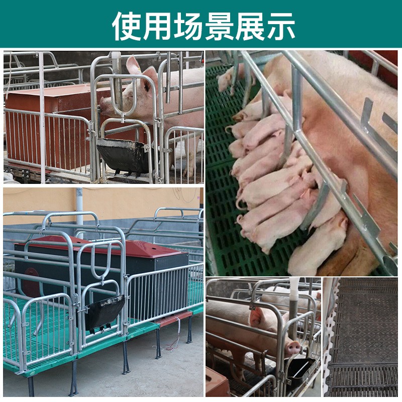 母猪产床单双体热镀锌母猪产床猪用复合板产床栏猪分娩床养猪设备图4