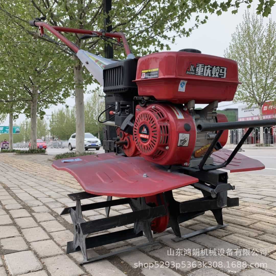 微信图片_20190411134801