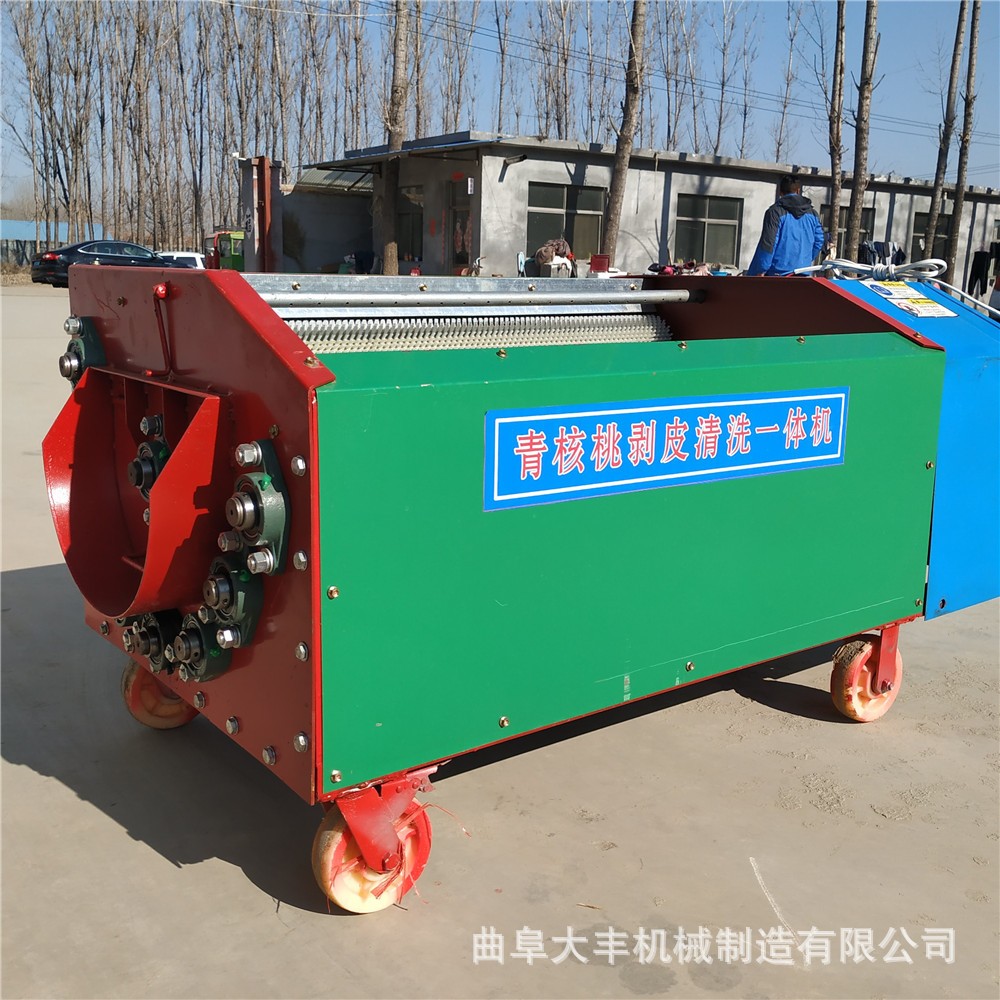 家用小型青皮核桃剥壳机多型号青皮核桃扒皮清洗机核桃去皮机图5