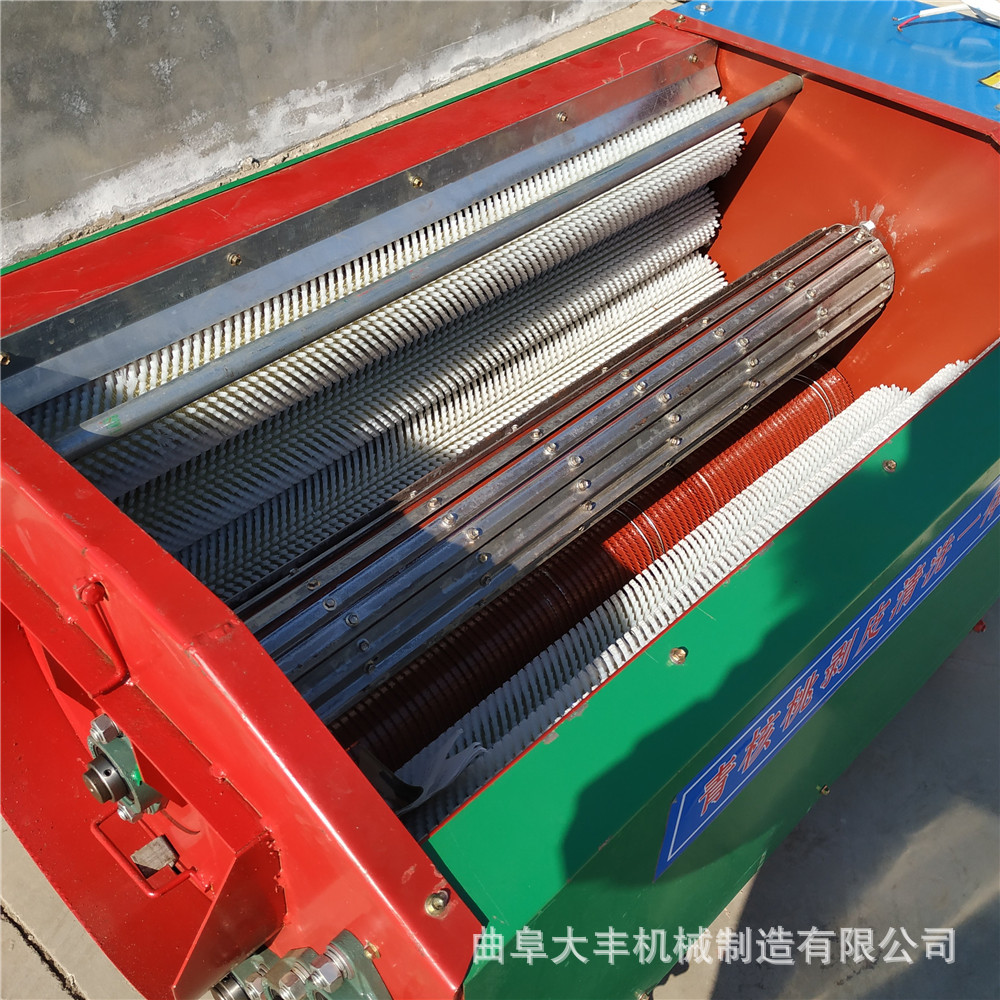 青核桃去皮机 大型农用核桃脱皮机 (10).jpg