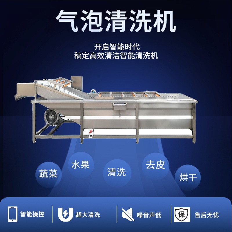 水果蔬菜清洗机全自动喷淋式果蔬清洗机 叶类蔬菜高压气泡清洗机图3