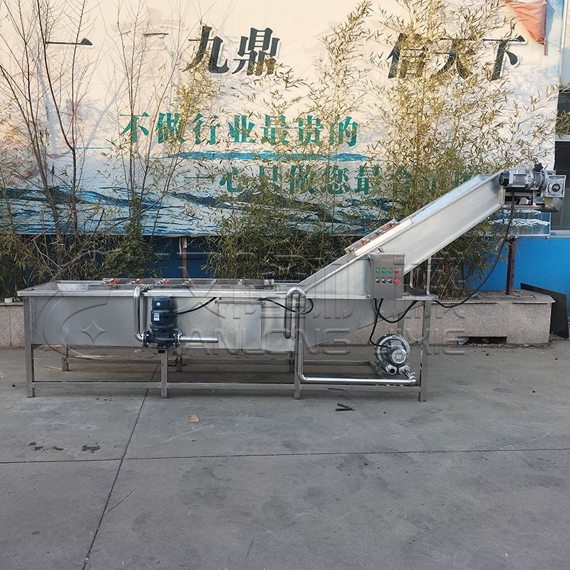 一件也发CXJ系列不锈钢果蔬清洗专用气泡提升输送水果清洗机图4