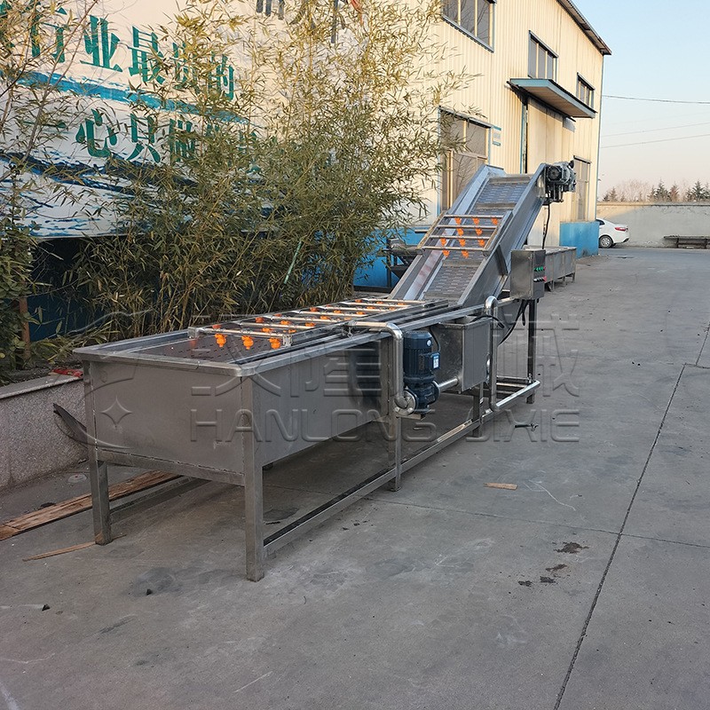 一件也发CXJ系列不锈钢果蔬清洗专用气泡提升输送水果清洗机图5