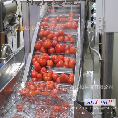 番茄酱罐头加工生产线 番茄沙司调配设备 番茄块罐头加工设备