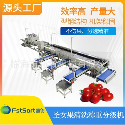 圣女果清洗称重分选机水果筛选机果蔬分选设备效率高产量大可调
