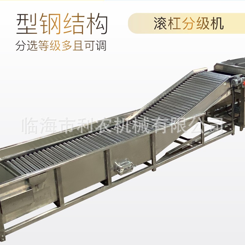 水果分级机大型红薯清洗分选流水线土豆筛选机分拣机设备可定制图2