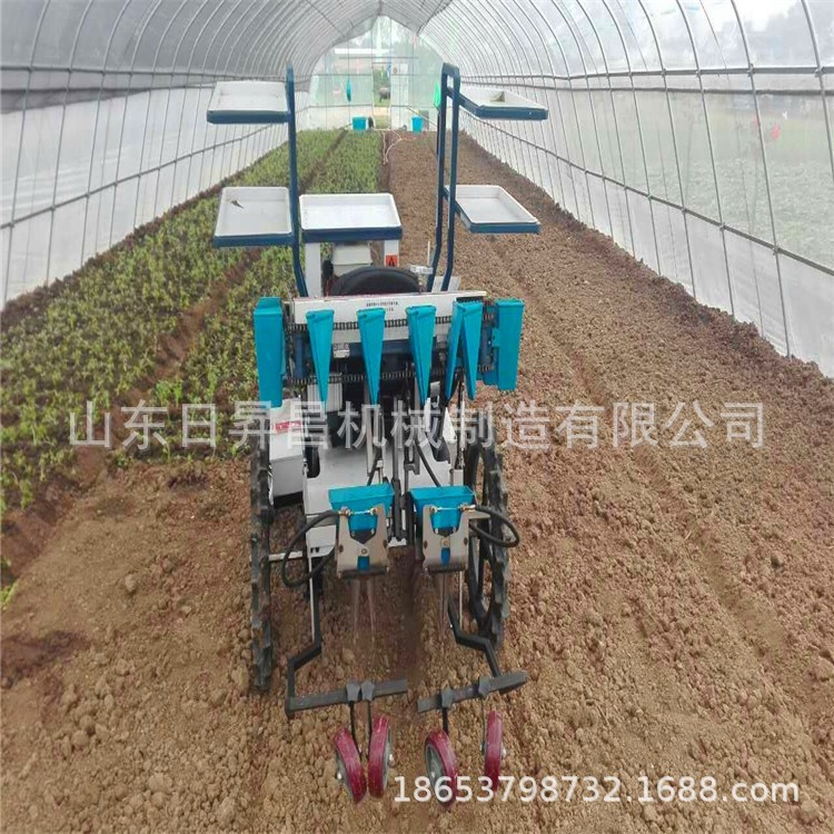 蔬菜移栽机 种植多种蔬菜移栽机 ,厂家低价直销图3
