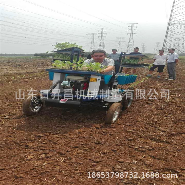 蔬菜移栽机 种植多种蔬菜移栽机 ,厂家低价直销图4
