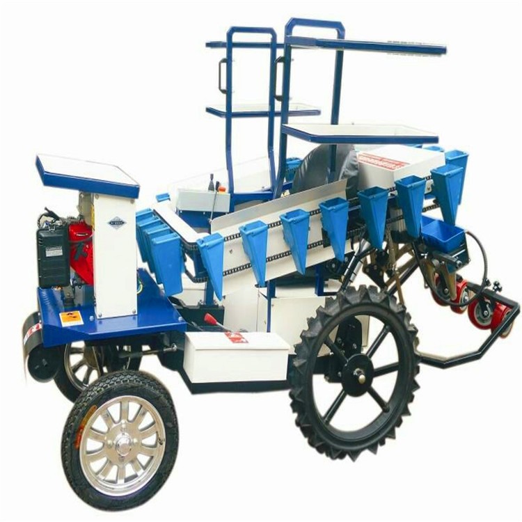 蔬菜移栽机 种植多种蔬菜移栽机 ,厂家低价直销图5