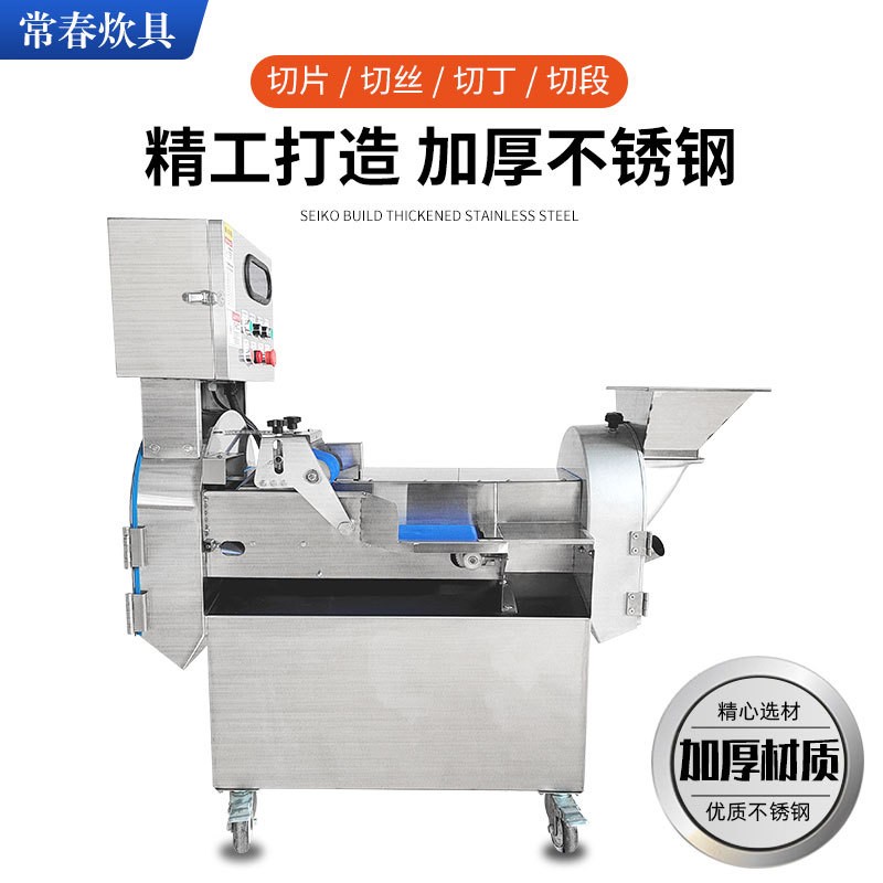 厂家现货电动多功能切丝切片切丁一体机801商用不锈钢双头 切菜机图4