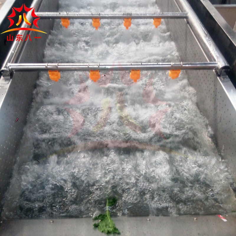 生产销售果蔬清洗设备 气泡清洗线 全自动果蔬清洗机设备图2