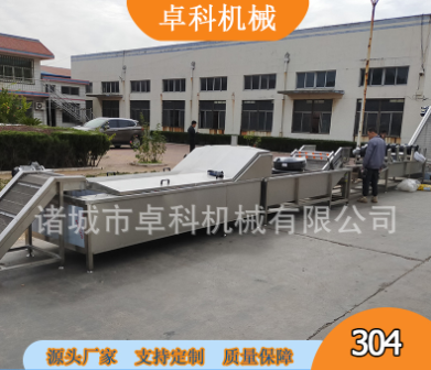 果蔬清洗机水果蔬菜涡流气泡洗菜机土豆萝卜清洗机商用臭氧洗菜机图2