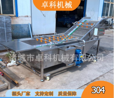 果蔬清洗机水果蔬菜涡流气泡洗菜机土豆萝卜清洗机商用臭氧洗菜机