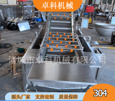 果蔬清洗机水果蔬菜涡流气泡洗菜机土豆萝卜清洗机商用臭氧洗菜机图4