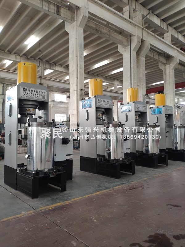 山茶油全自动榨油设备 山茶油物理冷榨純正茶籽油 压油机图2