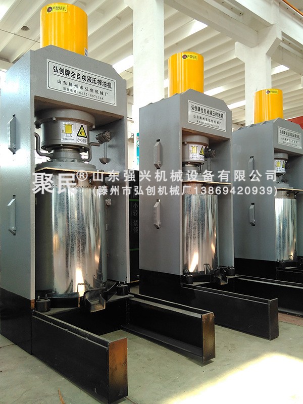 山茶油全自动榨油设备 山茶油物理冷榨純正茶籽油 压油机图4