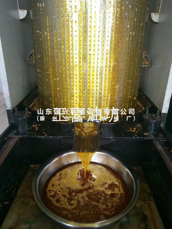 全自动榨菜籽油机器 全自动榨芝麻油机器 全自动榨茶籽油机器图2