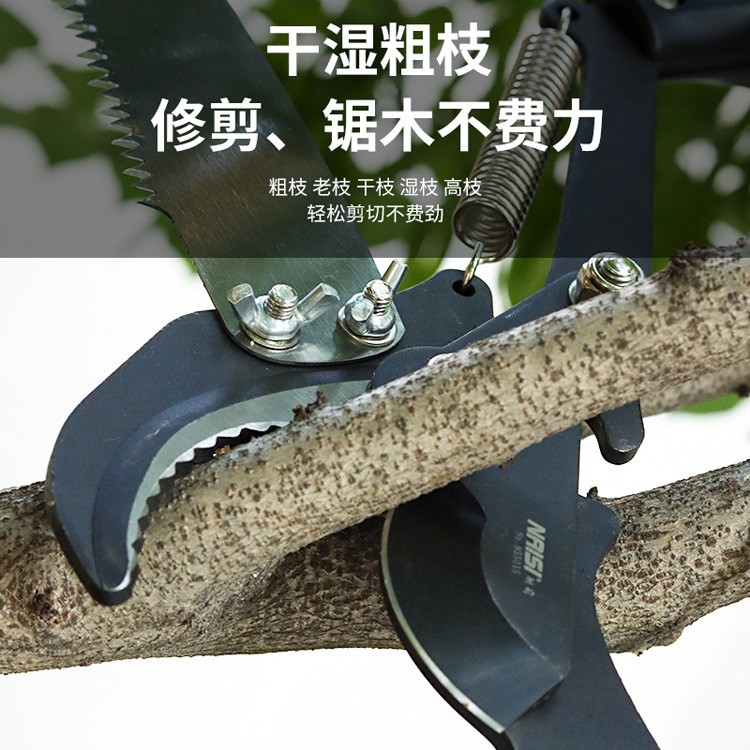 高枝剪高枝锯高空修枝剪可伸缩高枝剪绿化剪园林树图3