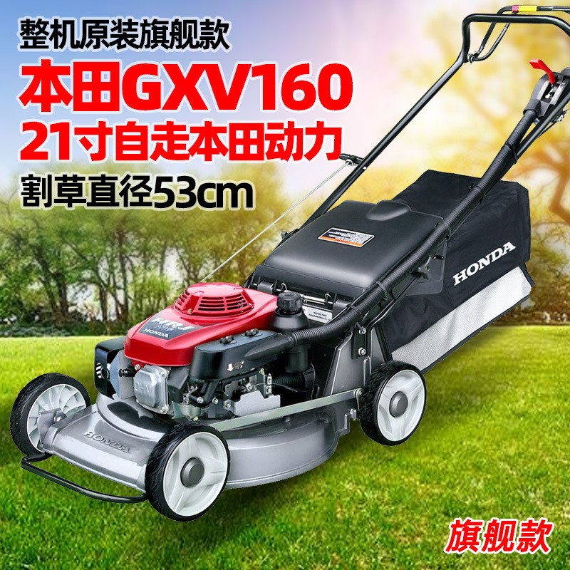 汽油草坪机本田GXV160动力自走割草机四冲程剪草修剪机手推除草机图2