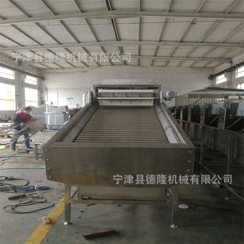 网链风冷风凉输送线玉米喷淋清洗设备德隆非标定制图2