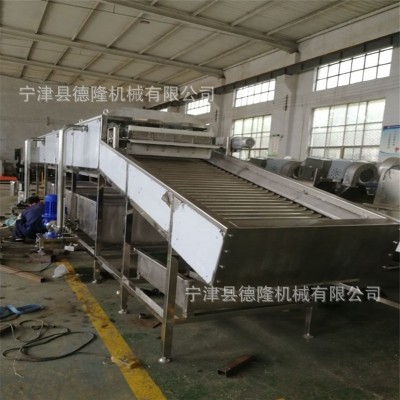 网链风冷风凉输送线玉米喷淋清洗设备德隆非标定制