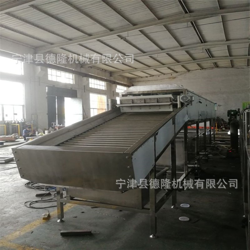 网链风冷风凉输送线玉米喷淋清洗设备德隆非标定制图3
