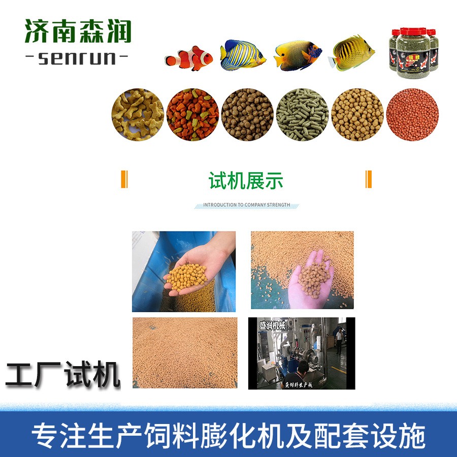 鱼饲料生 产厂家水产养殖膨化机挤出机宠物食品膨化加 工设备图4