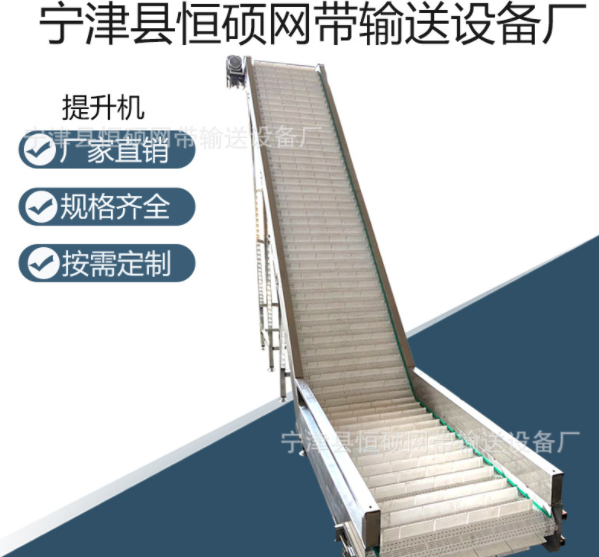 小型碳钢链板上料机 304不锈钢高温爬坡机 食品果蔬料斗式提升机图2