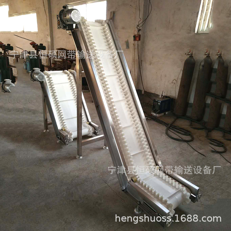 皮带提升机 (2).jpg