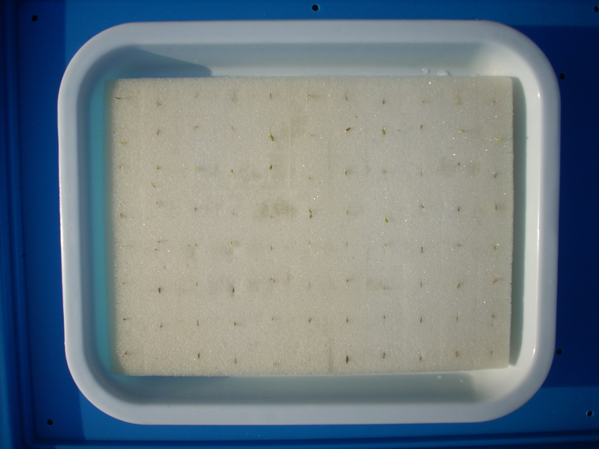 微信图片_20210327143534_副本