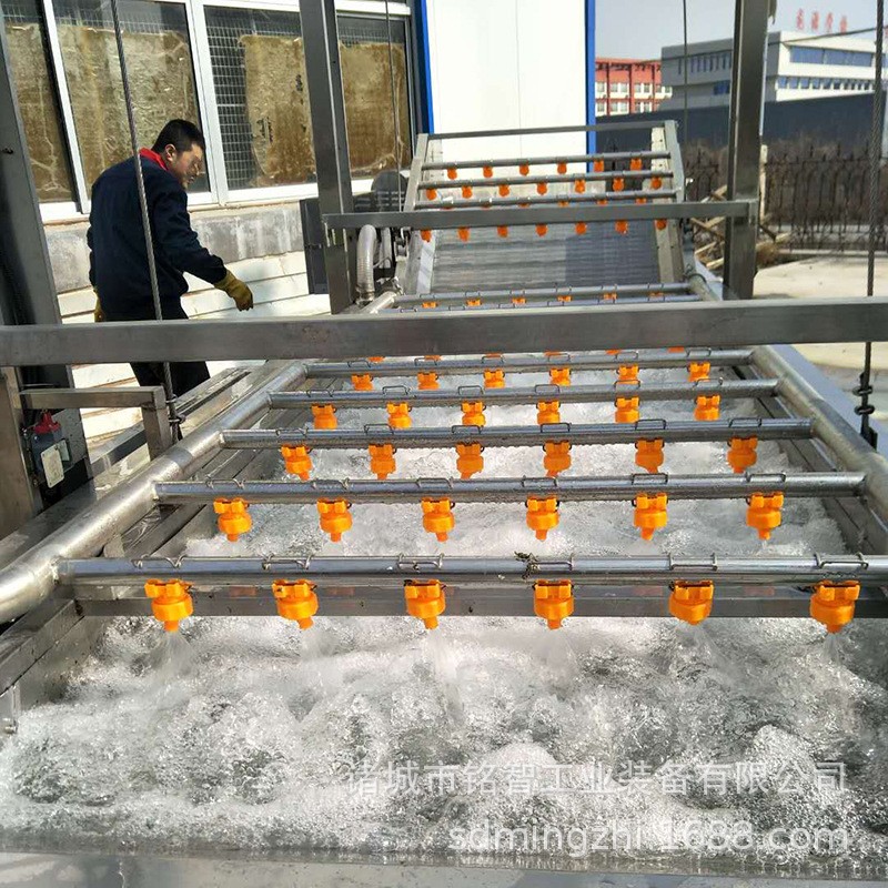 果蔬清洗设备 泡菜生产流水线设备 辣白菜包装清洗机械 品质保证图2