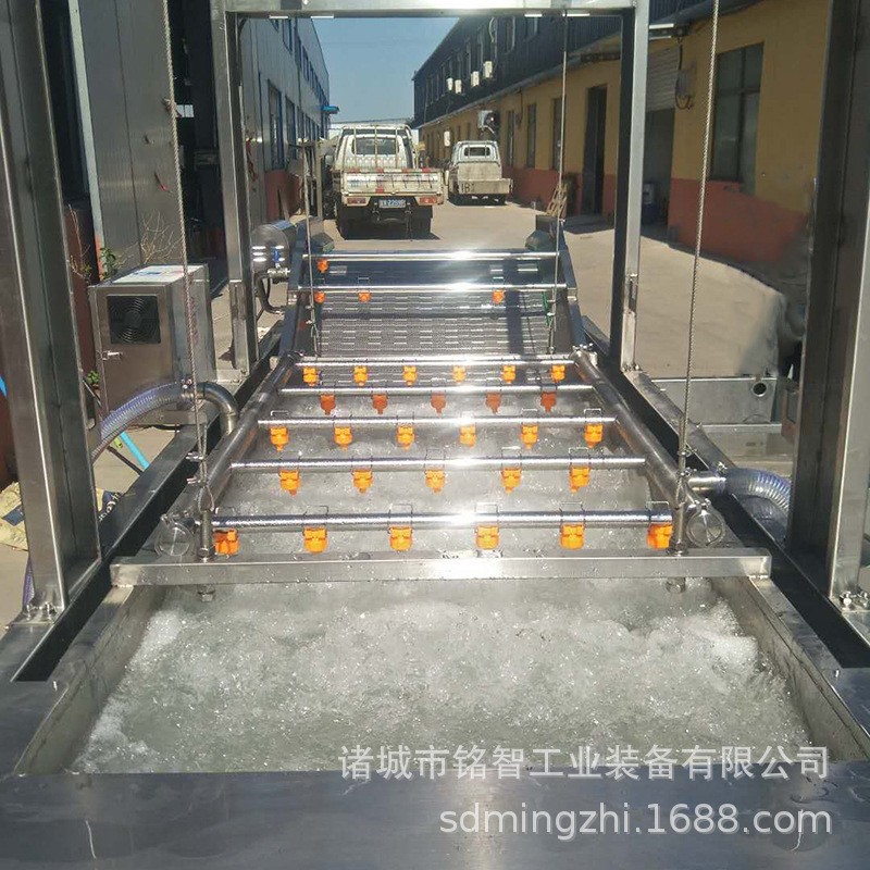 果蔬清洗设备 泡菜生产流水线设备 辣白菜包装清洗机械 品质保证图4