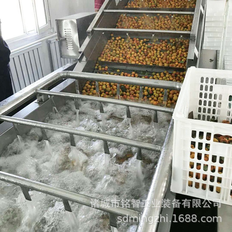 果蔬清洗设备 泡菜生产流水线设备 辣白菜包装清洗机械 品质保证图3