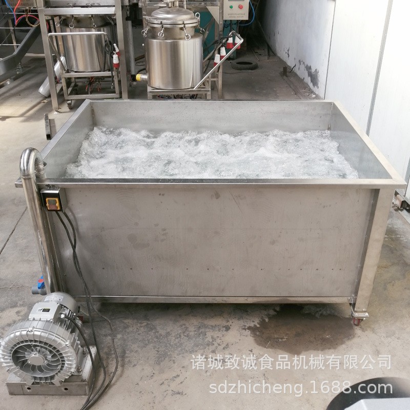 不锈钢清洗槽 气泡管滚果蔬清洗设备 流动水新疆灰枣去污池图4