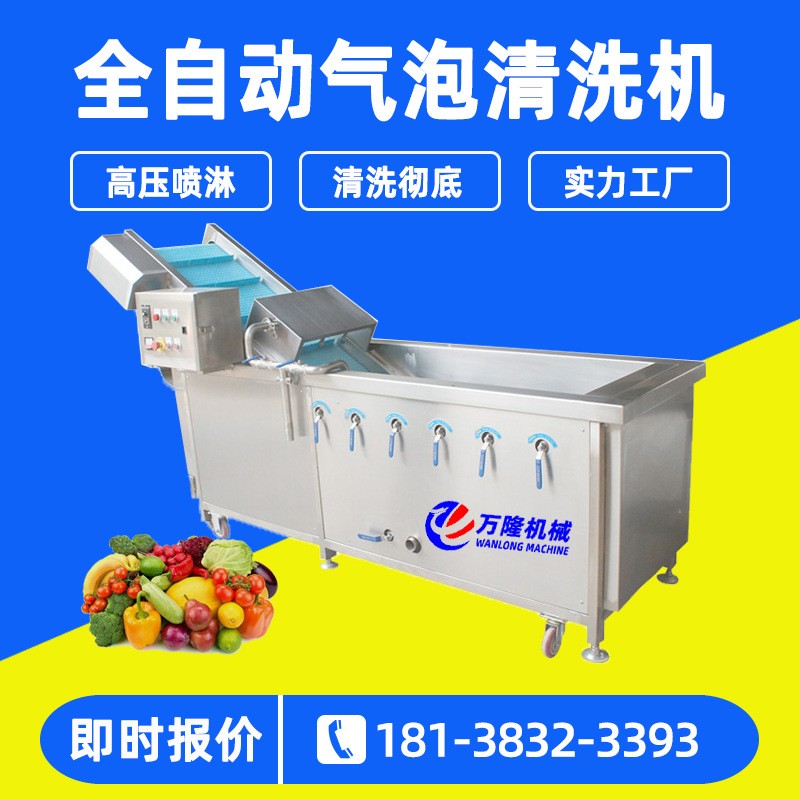 新款花椰菜果蔬清洗机海带活性氧消毒清洗机玉米鲜菇青菜清洗机器图2