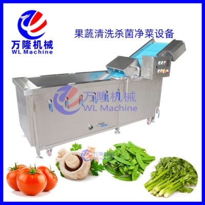 新款花椰菜果蔬清洗机海带活性氧消毒清洗机玉米鲜菇青菜清洗机器