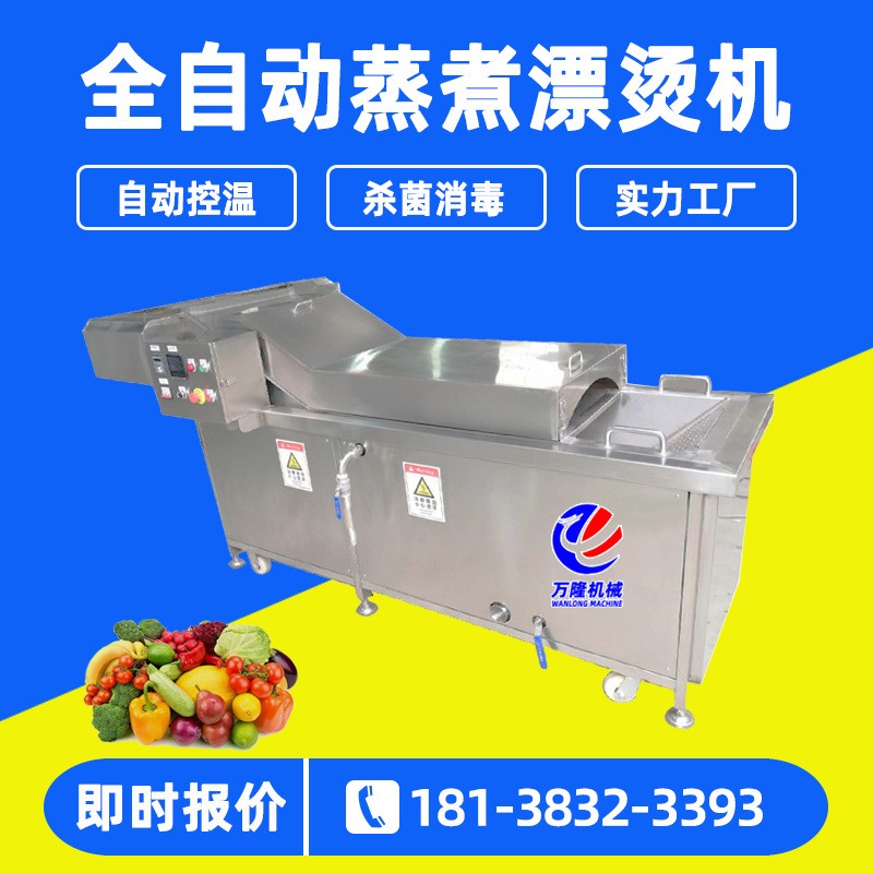 厂家供应商用蔬菜杀青机 全自动蒸煮漂烫机 巴式杀菌流水线图2
