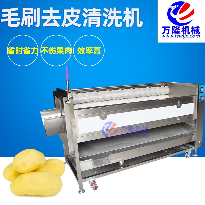 自动瓜果清洗去皮机土豆红薯平行毛辊清洗机商用连续式清洗机定制图3