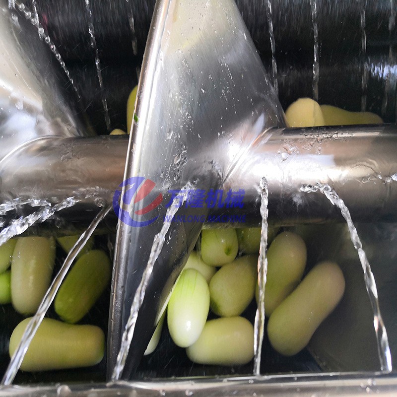 自动瓜果清洗去皮机土豆红薯平行毛辊清洗机商用连续式清洗机定制图4