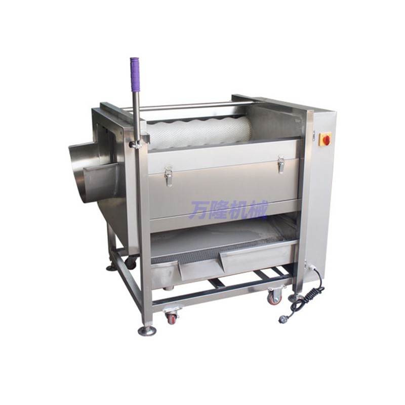 自动瓜果清洗去皮机土豆红薯平行毛辊清洗机商用连续式清洗机定制图5