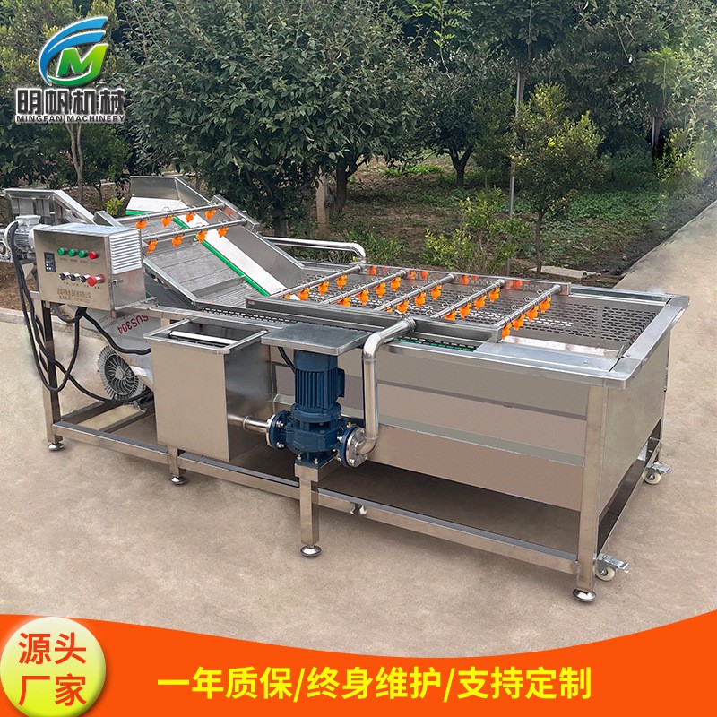 全自动不锈钢洗菜机 酱菜酸菜除盐清洗机 多功能气泡清洗机图3