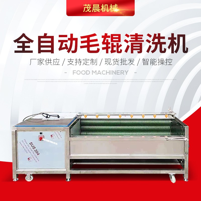 平行海蛎子毛刷清洗机 贝壳生鲜去泥机械 生蚝不锈钢毛辊洗菜设备图4
